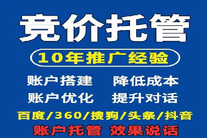 行业报告：专业SEM托管的成功实践与挑战